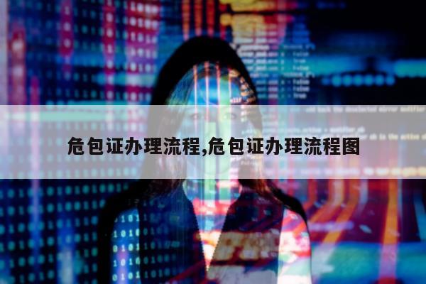 危包证办理流程,危包证办理流程图