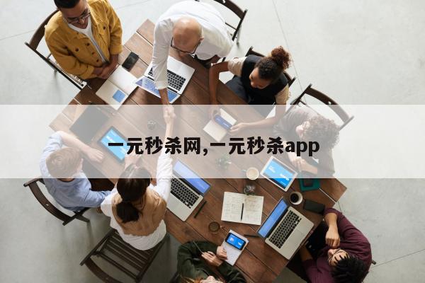 一元秒杀网,一元秒杀app