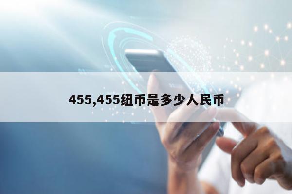 455,455纽币是多少人民币