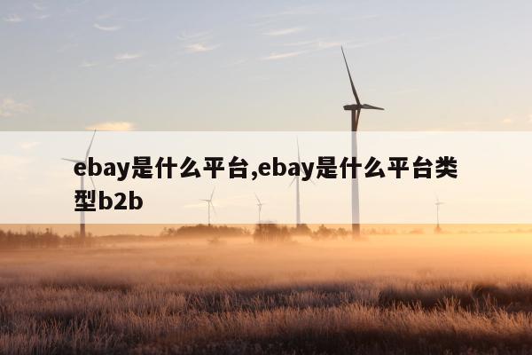 ebay是什么平台,ebay是什么平台类型b2b