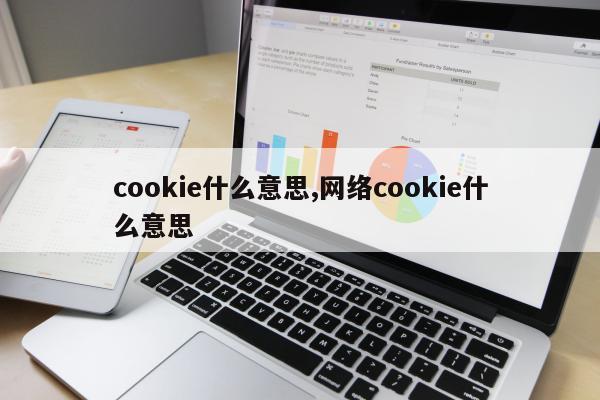 cookie什么意思,网络cookie什么意思