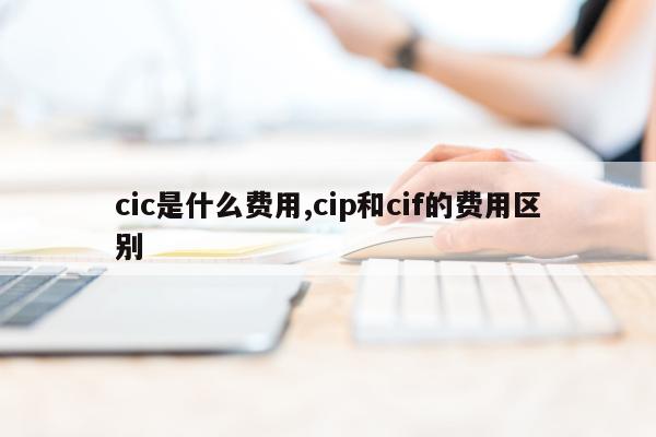 cic是什么费用,cip和cif的费用区别