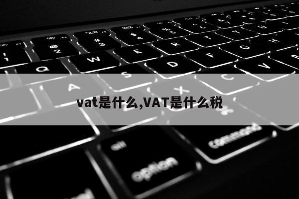 vat是什么,VAT是什么税