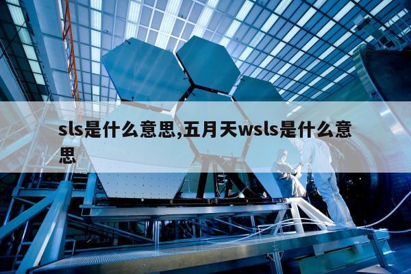 sls是什么意思,五月天wsls是什么意思