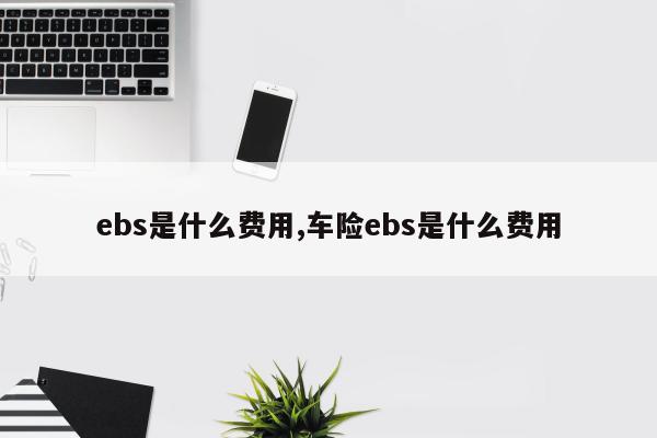 ebs是什么费用,车险ebs是什么费用