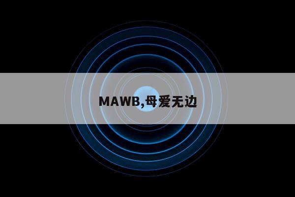 MAWB,母爱无边