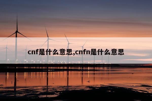 cnf是什么意思,cnfn是什么意思