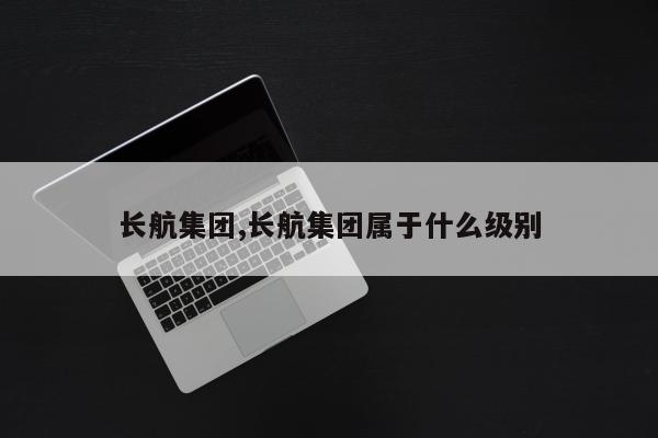 长航集团,长航集团属于什么级别