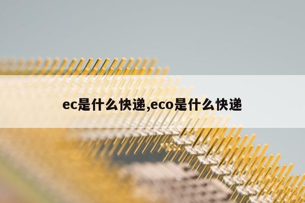 ec是什么快递,eco是什么快递