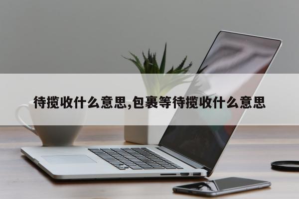 待揽收什么意思,包裹等待揽收什么意思