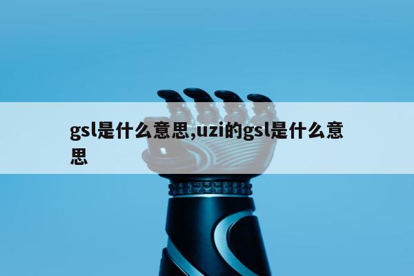 gsl是什么意思,uzi的gsl是什么意思