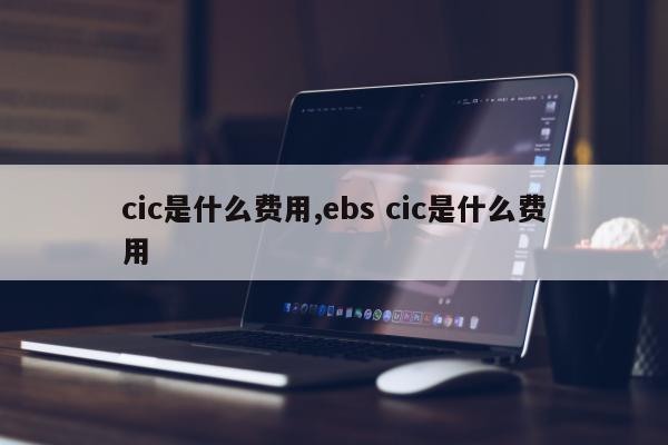 cic是什么费用,ebs cic是什么费用