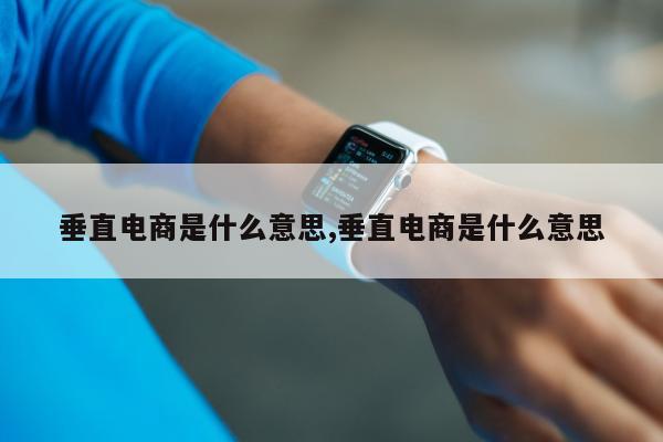 垂直电商是什么意思,垂直电商是什么意思