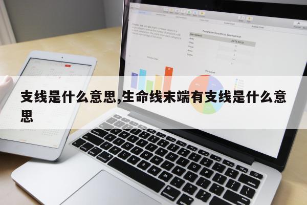 支线是什么意思,生命线末端有支线是什么意思