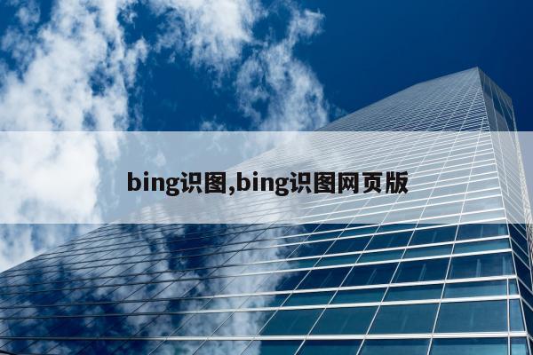 bing识图,bing识图网页版