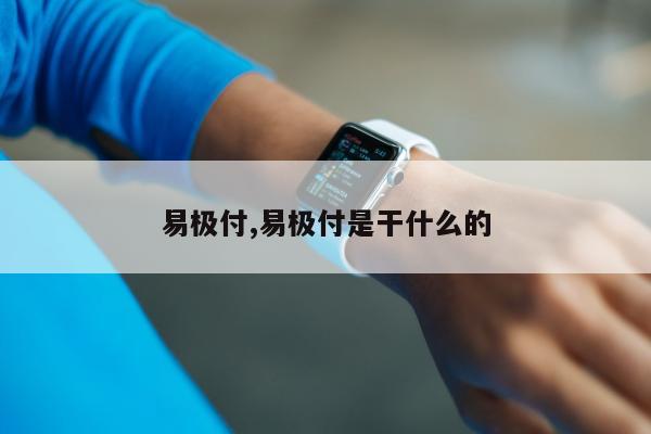 易极付,易极付是干什么的