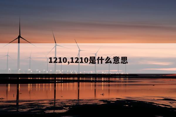 1210,1210是什么意思