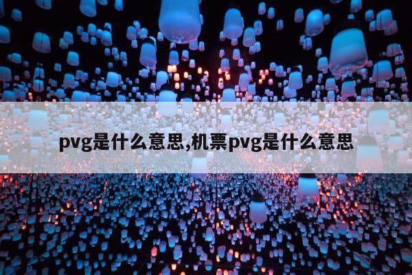 pvg是什么意思,机票pvg是什么意思