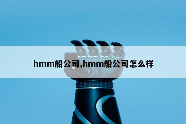 hmm船公司,hmm船公司怎么样