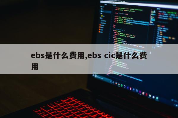 ebs是什么费用,ebs cic是什么费用