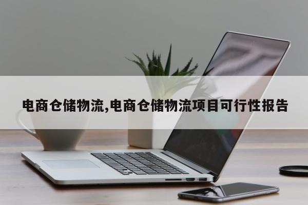 电商仓储物流,电商仓储物流项目可行性报告