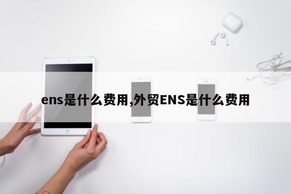 ens是什么费用,外贸ENS是什么费用