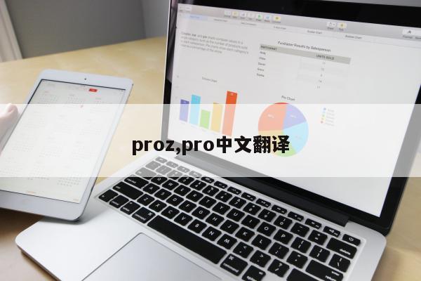 proz,pro中文翻译