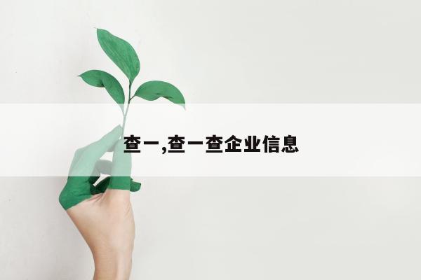 查一,查一查企业信息