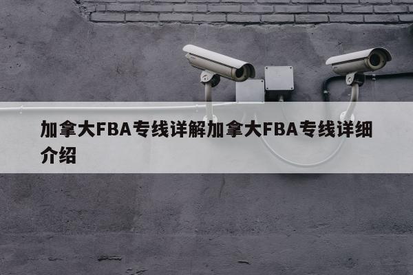 加拿大FBA专线详解加拿大FBA专线详细介绍