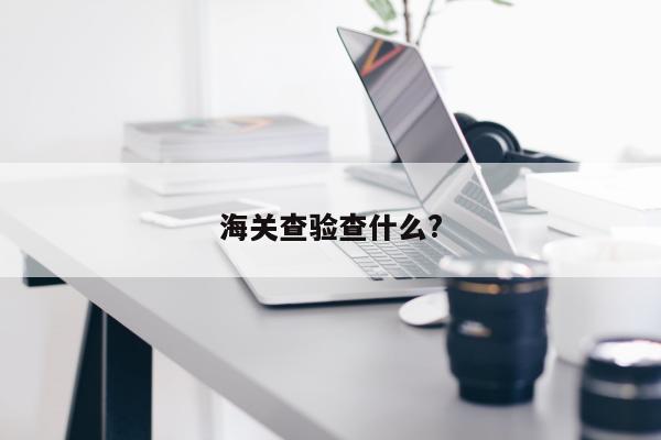 海关查验查什么?