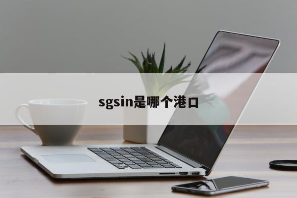 sgsin是哪个港口