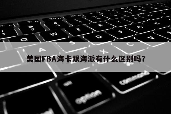 美国FBA海卡跟海派有什么区别吗？