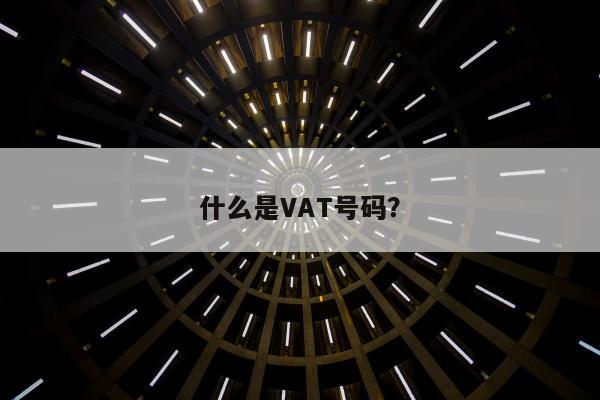 什么是VAT号码？