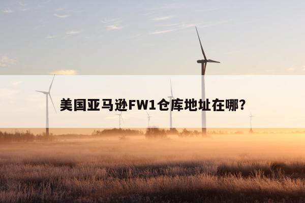 美国亚马逊FW1仓库地址在哪？