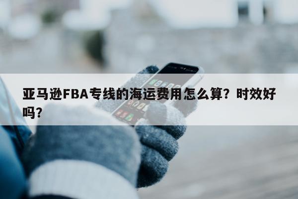 亚马逊FBA专线的海运费用怎么算？时效好吗？