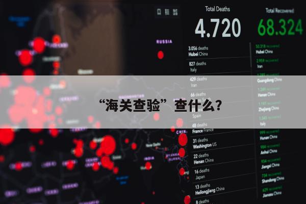 “海关查验”查什么？