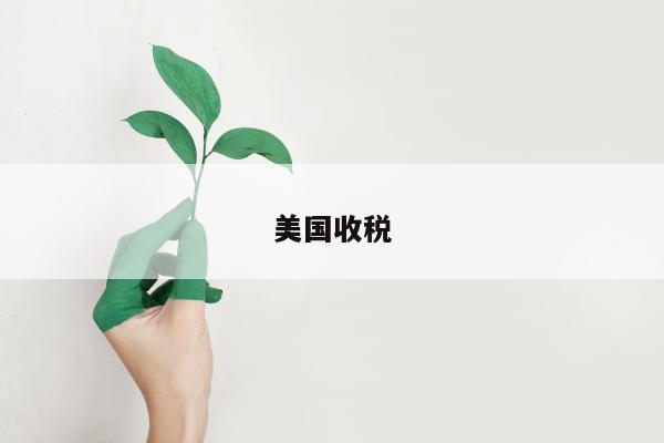 美国收税