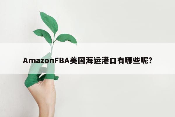 AmazonFBA美国海运港口有哪些呢？