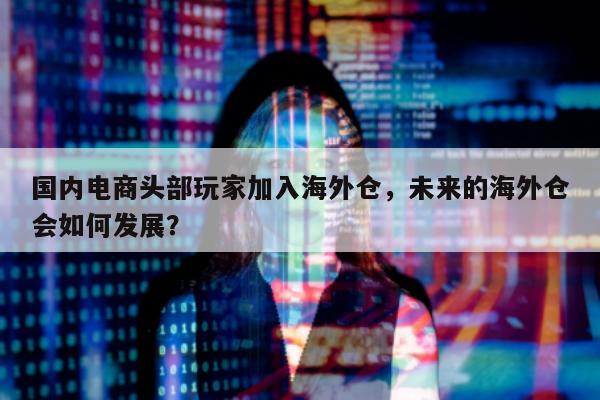 国内电商头部玩家加入海外仓，未来的海外仓会如何发展？