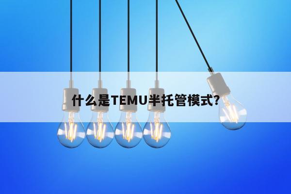 什么是TEMU半托管模式？