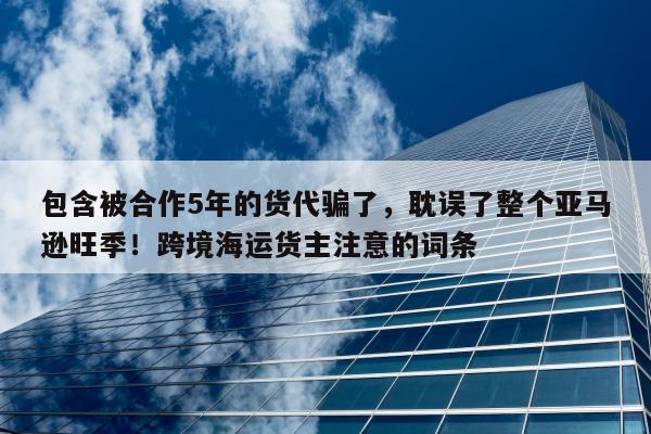 包含被合作5年的货代骗了，耽误了整个亚马逊旺季！跨境海运货主注意的词条