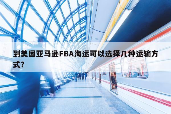 到美国亚马逊FBA海运可以选择几种运输方式？