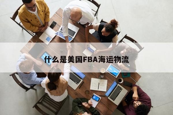 什么是美国FBA海运物流