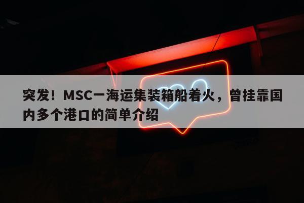 突发！MSC一海运集装箱船着火，曾挂靠国内多个港口的简单介绍