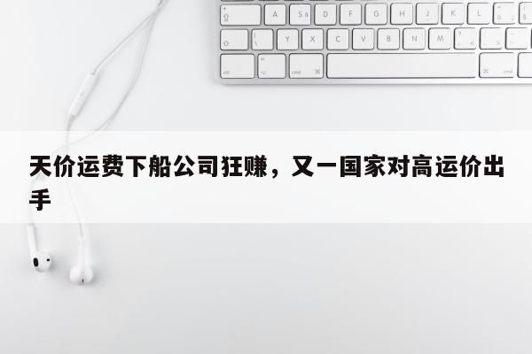 天价运费下船公司狂赚，又一国家对高运价出手