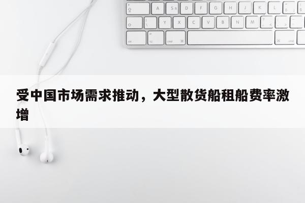 受中国市场需求推动，大型散货船租船费率激增