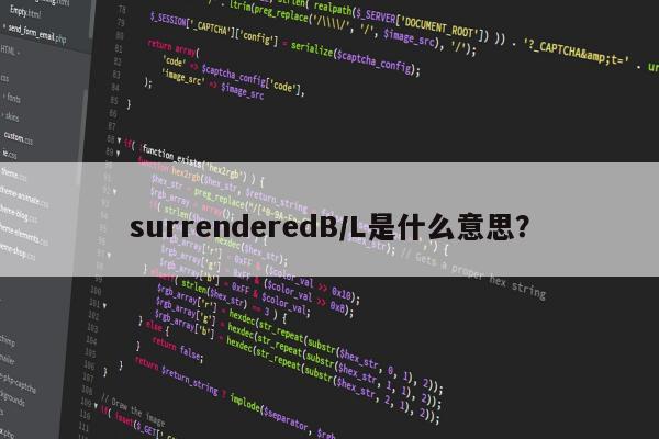 surrenderedB/L是什么意思？