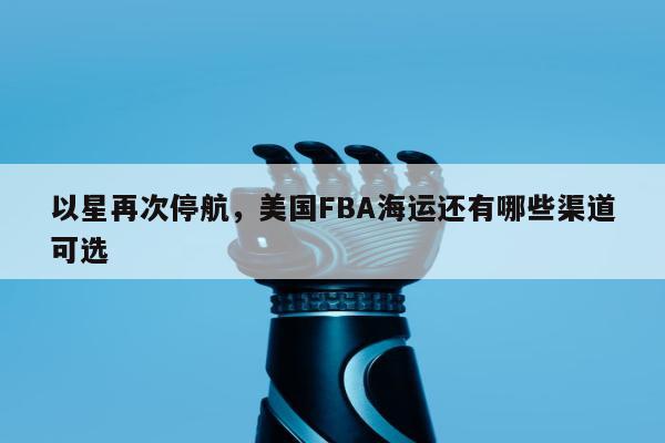 以星再次停航，美国FBA海运还有哪些渠道可选