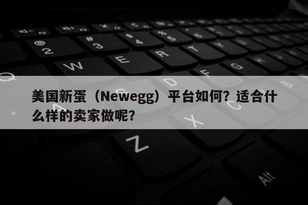 美国新蛋（Newegg）平台如何？适合什么样的卖家做呢？