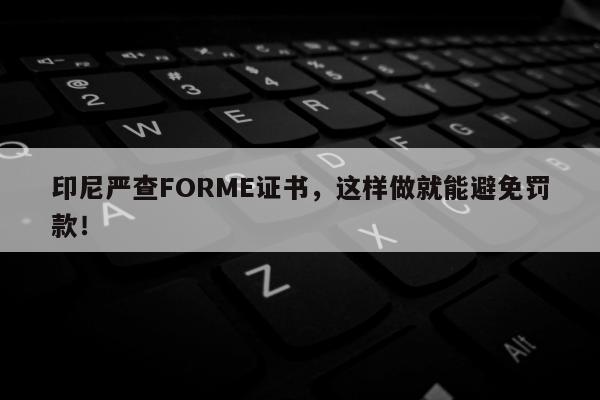 印尼严查FORME证书，这样做就能避免罚款！